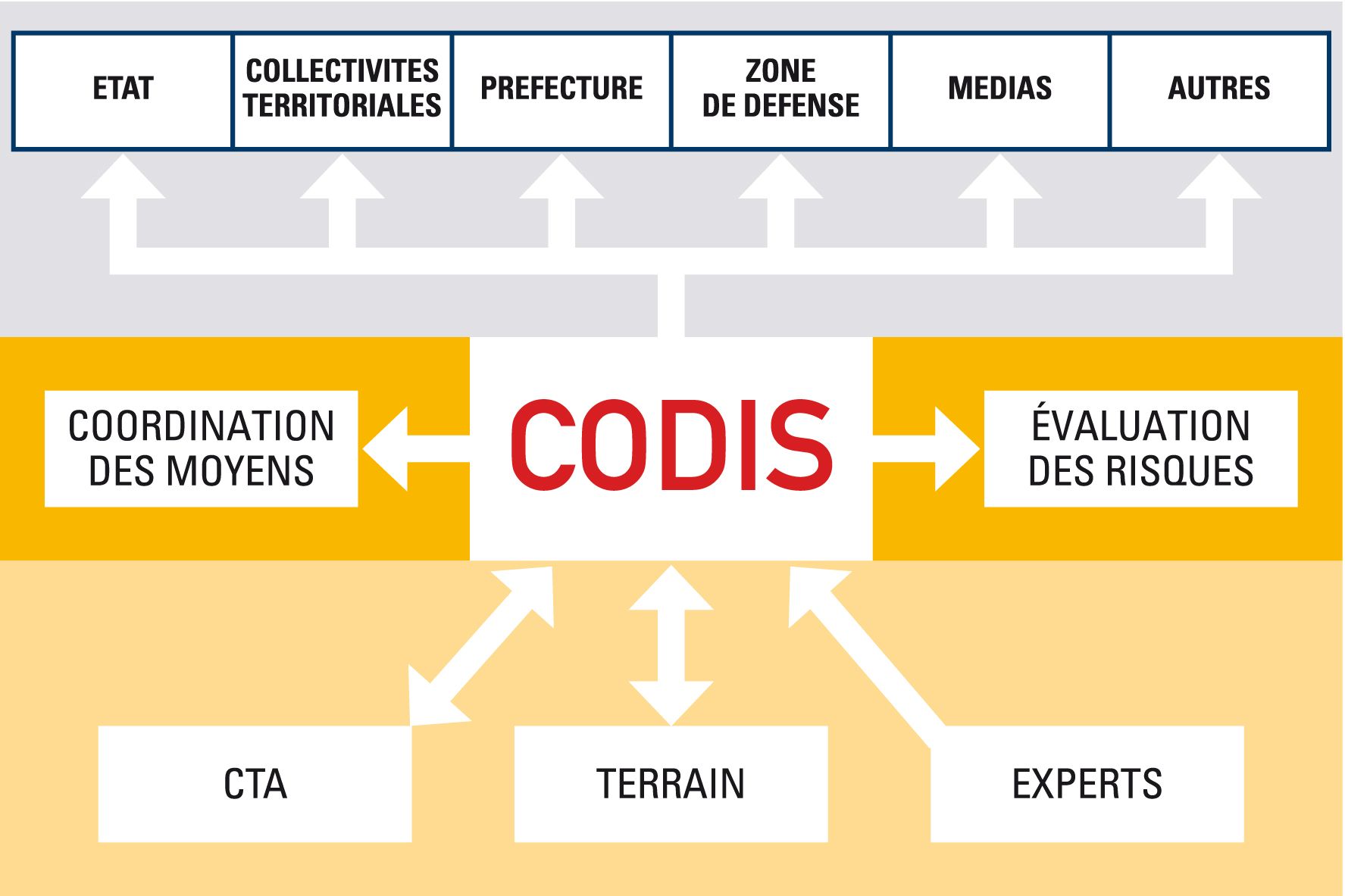 Schéma CODIS Schéma CODIS