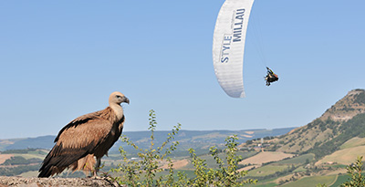 Parapente