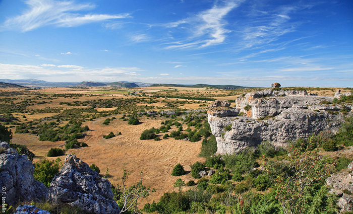 Tourisme à Millau en Aveyron